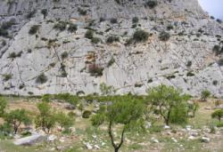 Vue du secteur Nacimiento / Valle de Abdalajis (Nacimiento)