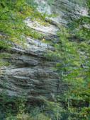 Red River Gorge (The Zoo)