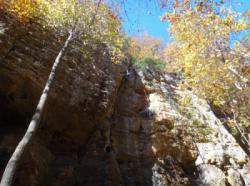 Red River Gorge (The Crossroads)