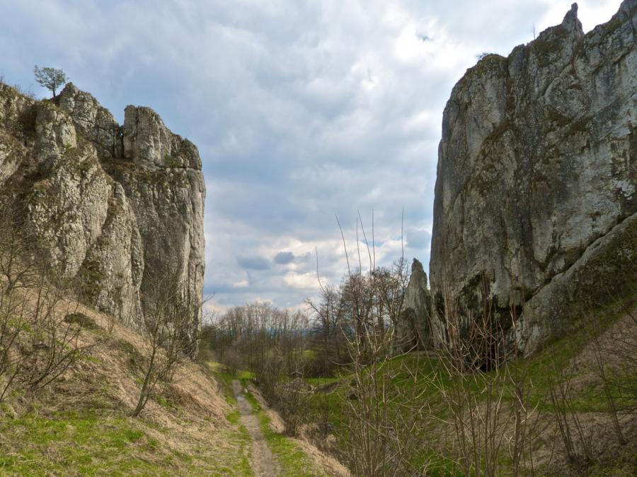 Rock climbing guidebook : Dolina Bolechowicka Dolina Kluczwody ...