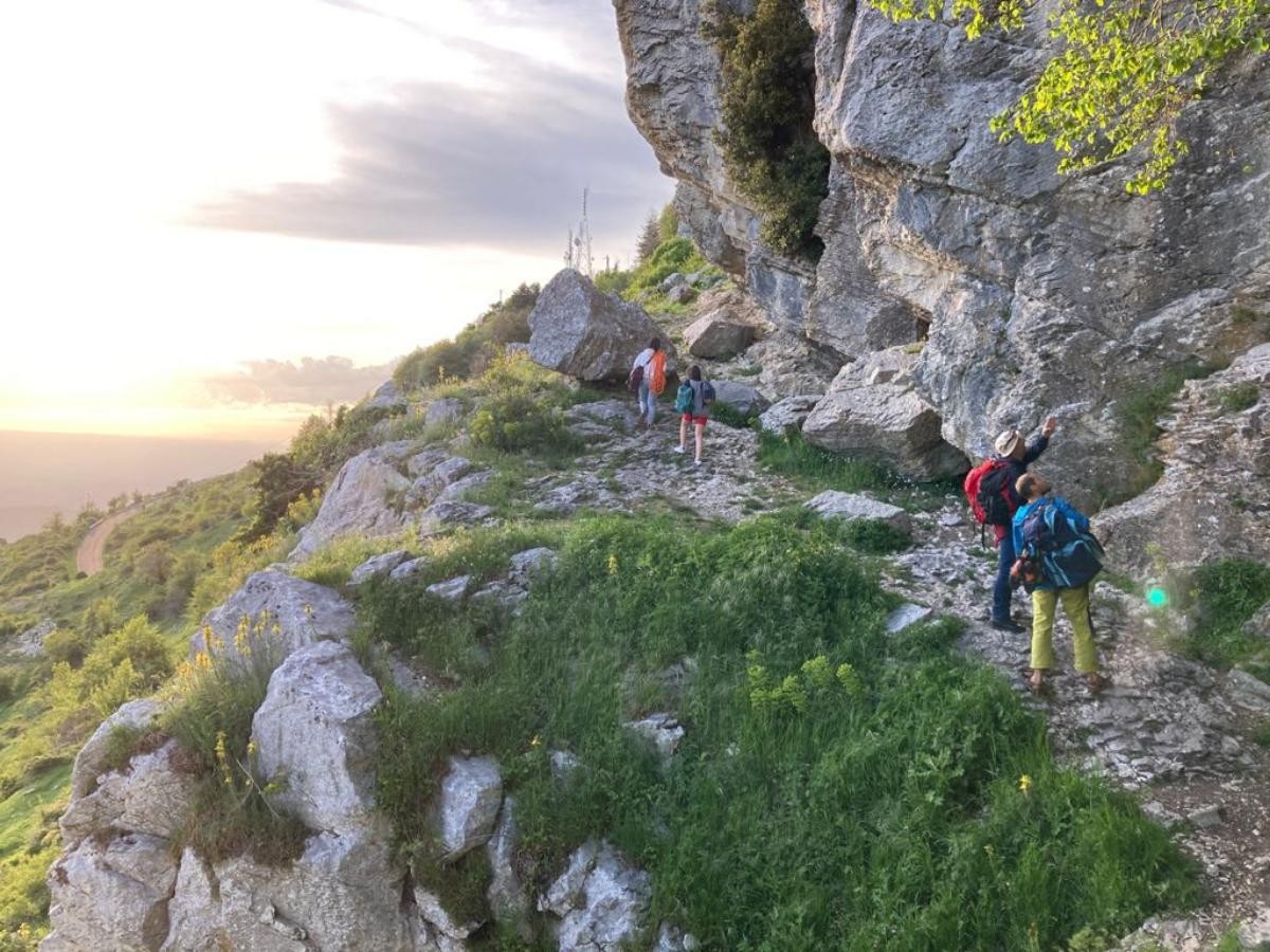 Kong. Ergo Anniversary. Juego De 5 Cintas De Escalada Para Escalada. Mosquetón Para Falesia Y Gimnasio. Reenvío Con 2 Conectores Ergo Con Keylock. Fabricado En Italia. Certificaciones: EN 12275. Peso