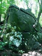 Sourland Mountain Reservation