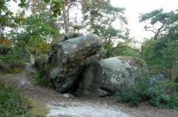 Fontainebleau (Rocher Gréau)